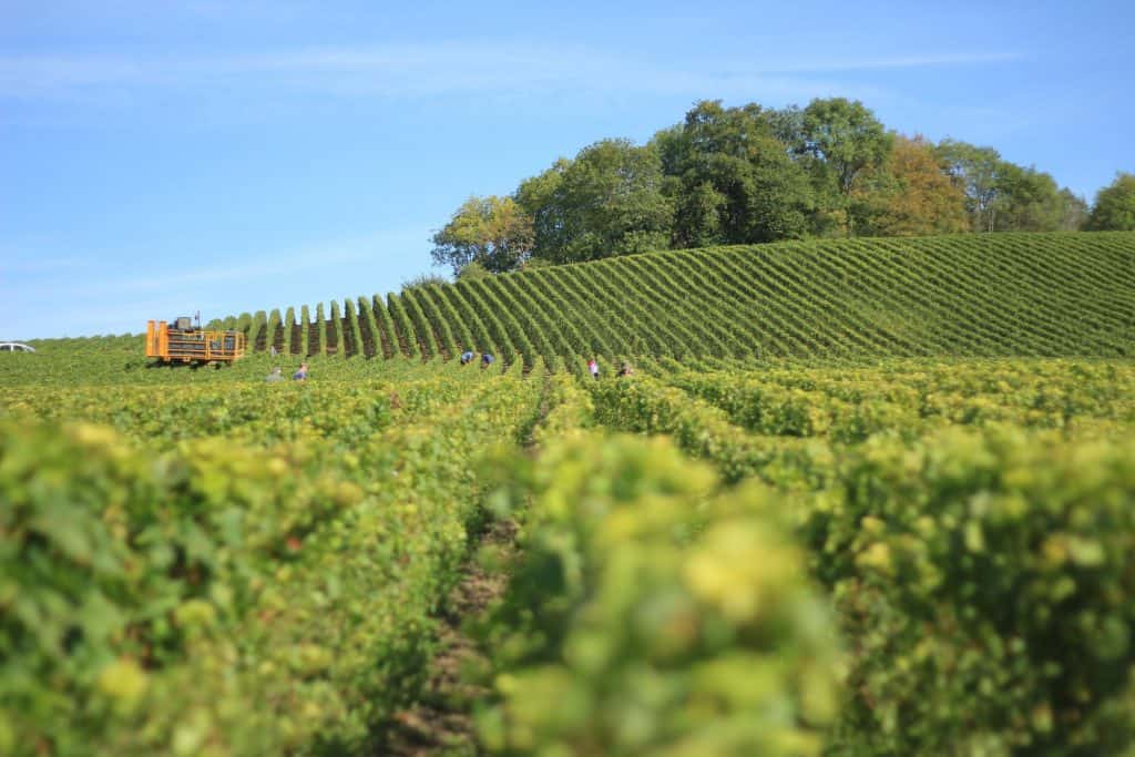 Crop Law